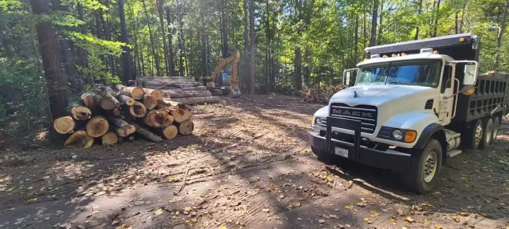 A white dump truck is parked in a forest clearing next to piles of cut logs. An excavator, used for commercial excavation in Virginia, is visible in the background, surrounded by tall trees under bright daylight.