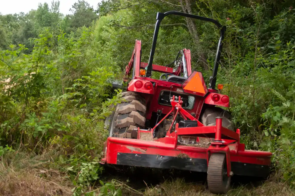 A red tractor with a mower attachment cuts through thick, green brush and tall grass at the edge of a forest, viewed from behind. Perfect for land clearing Virginia, trees and dense vegetation surround the hardworking machine.