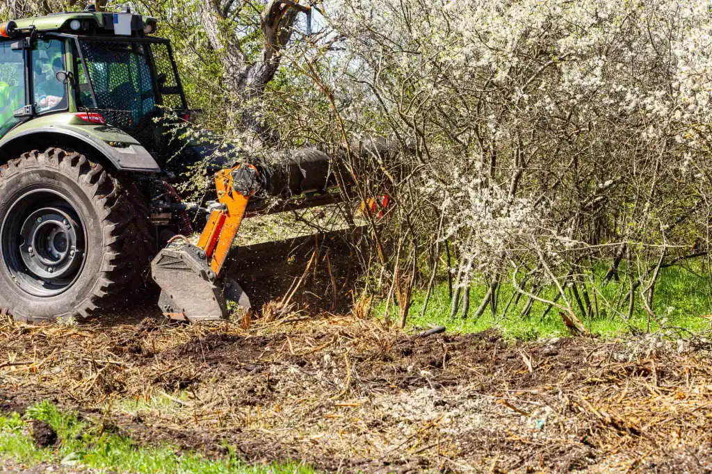 A tractor with a mulching attachment grinds and clears bushes and small trees in a green field, ideal for efficient land clearing Virginia projects amidst blossoming shrubs and scattered branches.