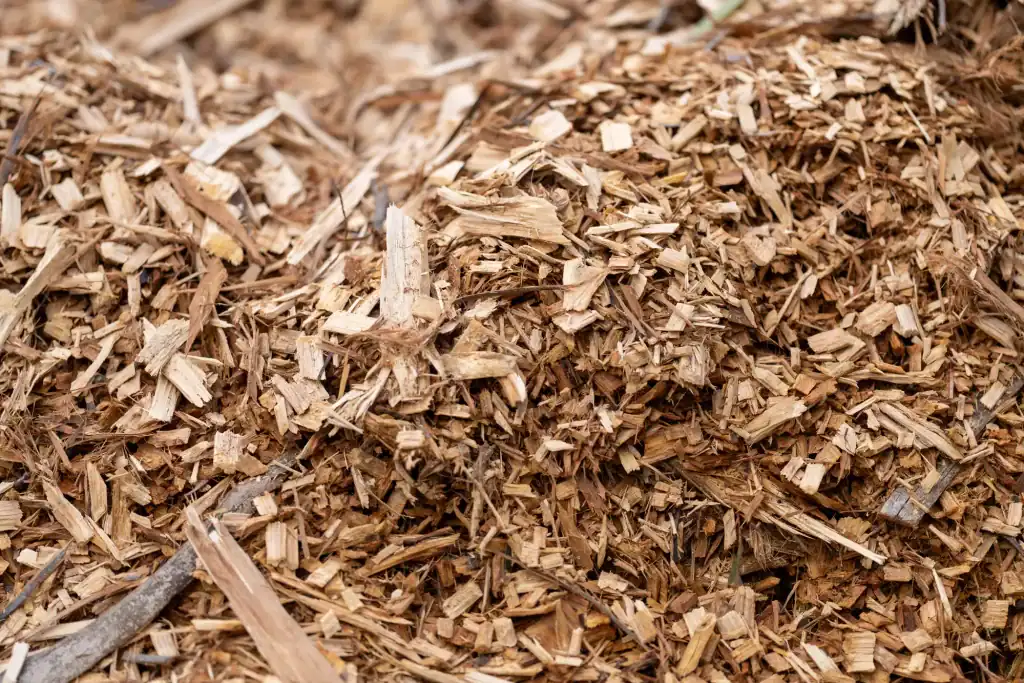 A close-up view of a pile of light brown wood chips and mulch, often produced during land clearing Virginia projects, showing various sizes and textures of shredded wood pieces.