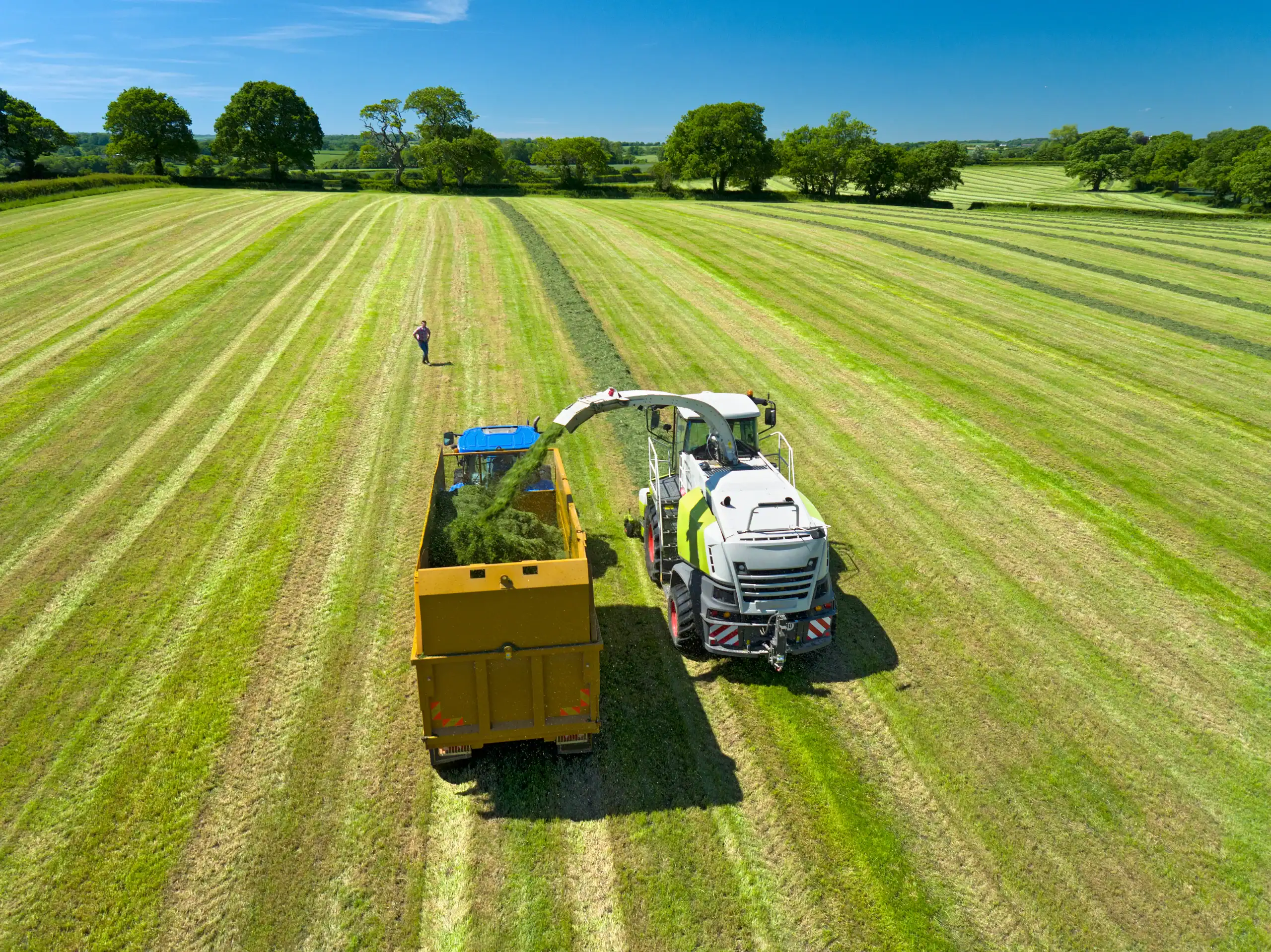 Aerial view of a large green field with a harvester transferring crops into a yellow trailer, while a person stands nearby. The scene is bright and sunny with trees at the edge of the field.