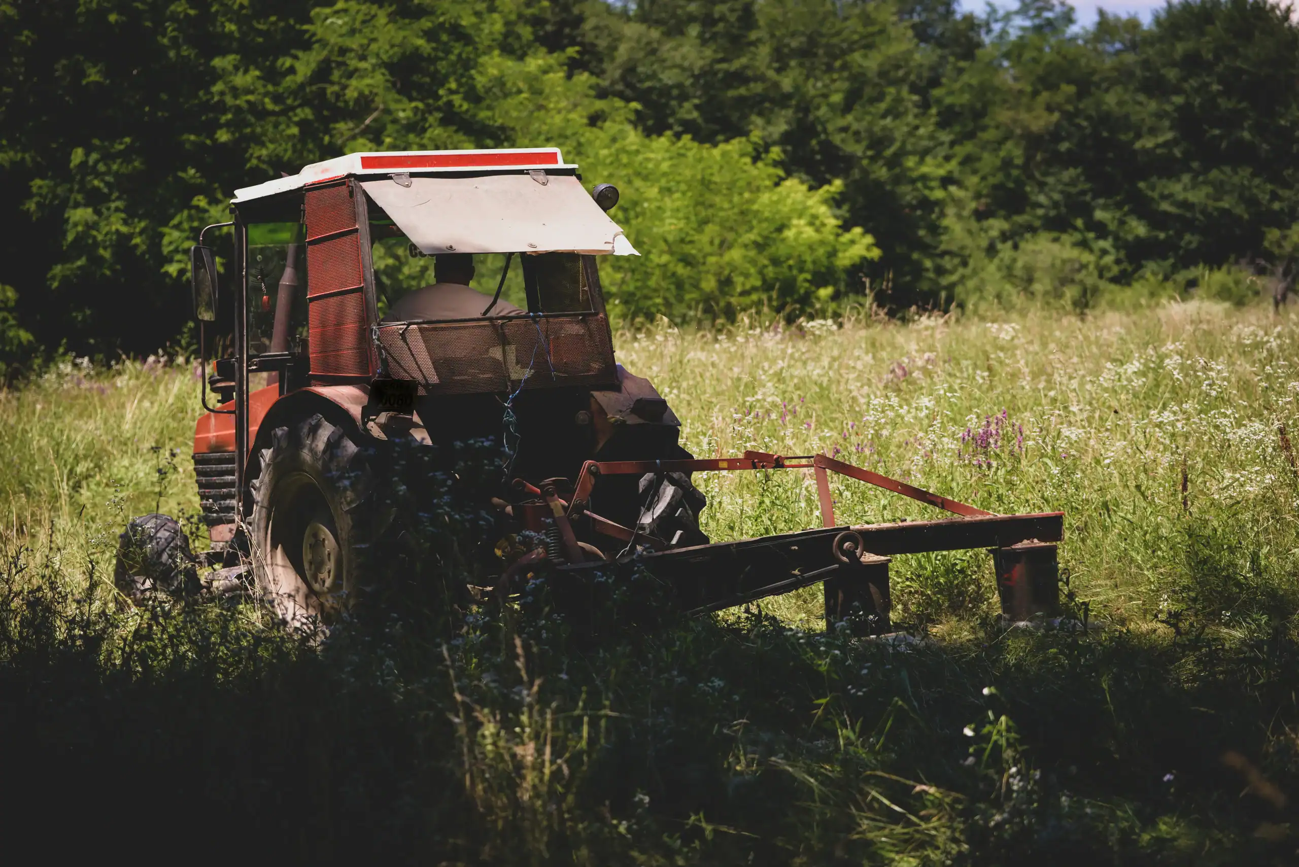 A red tractor with a white roof sits in a grassy, overgrown field surrounded by wildflowers and dense green trees under a bright sky.